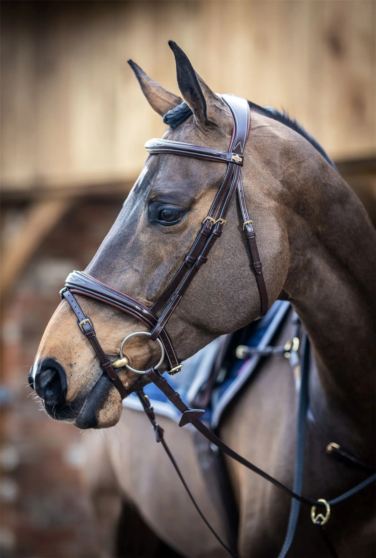 LeMieux Competition Flash Bridle