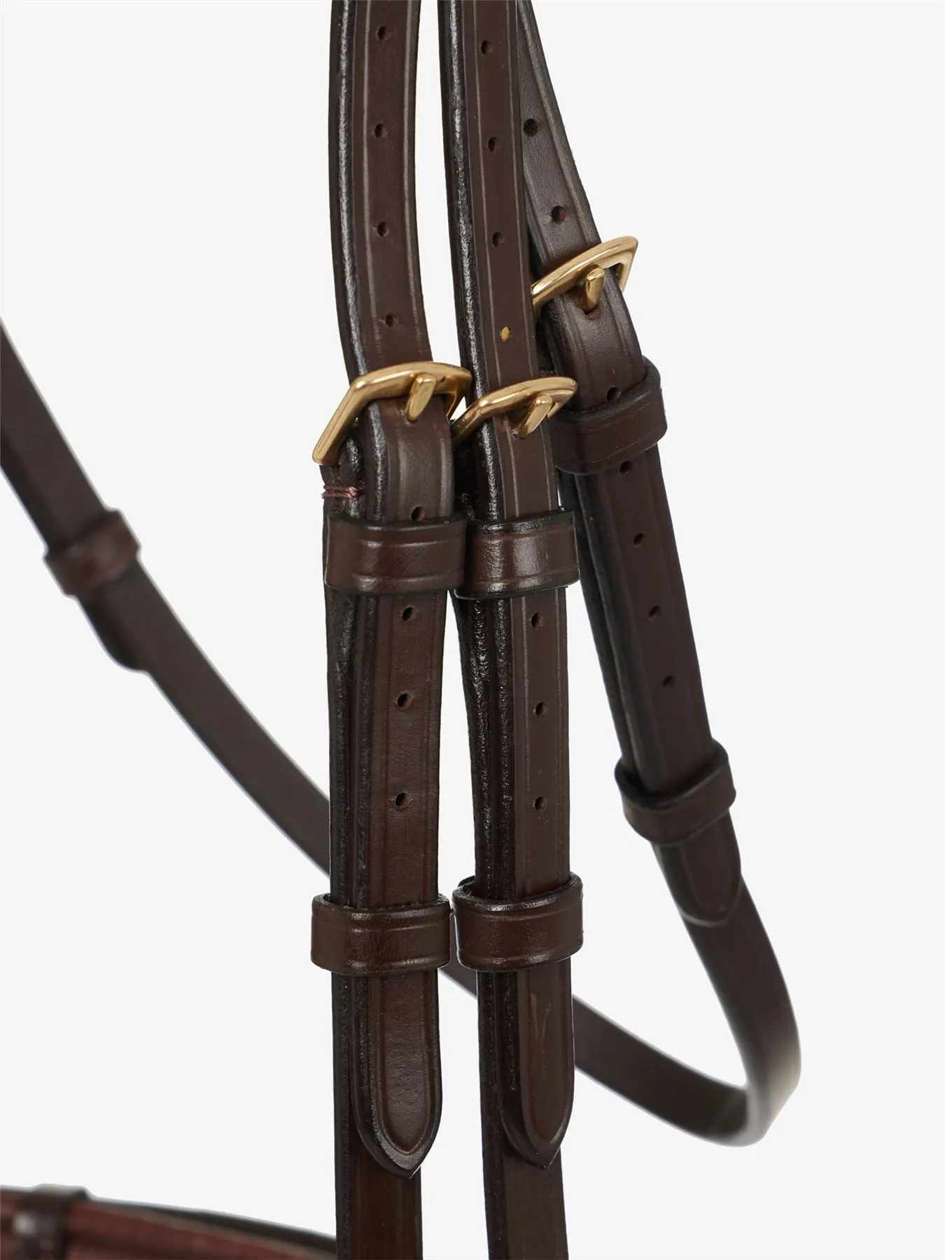 LeMieux Competition Flash Bridle
