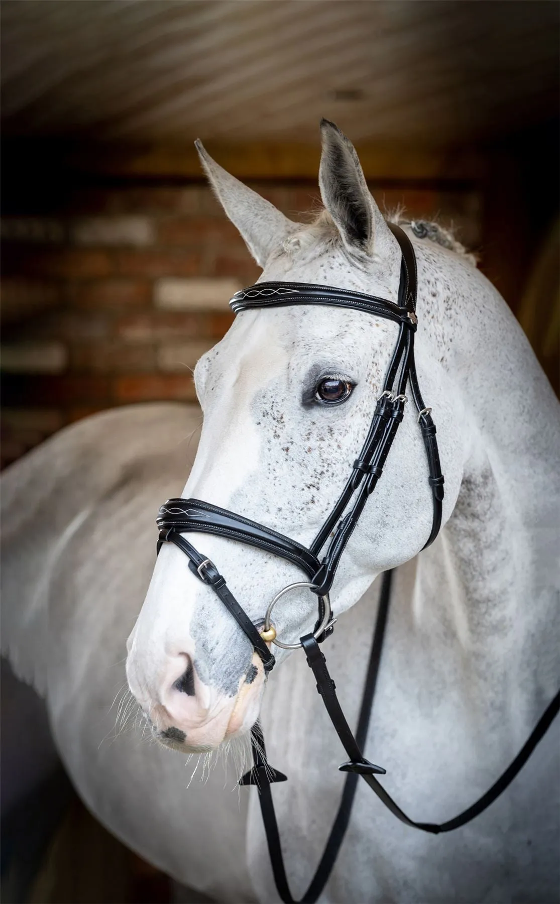 LeMieux Competition Flash Bridle