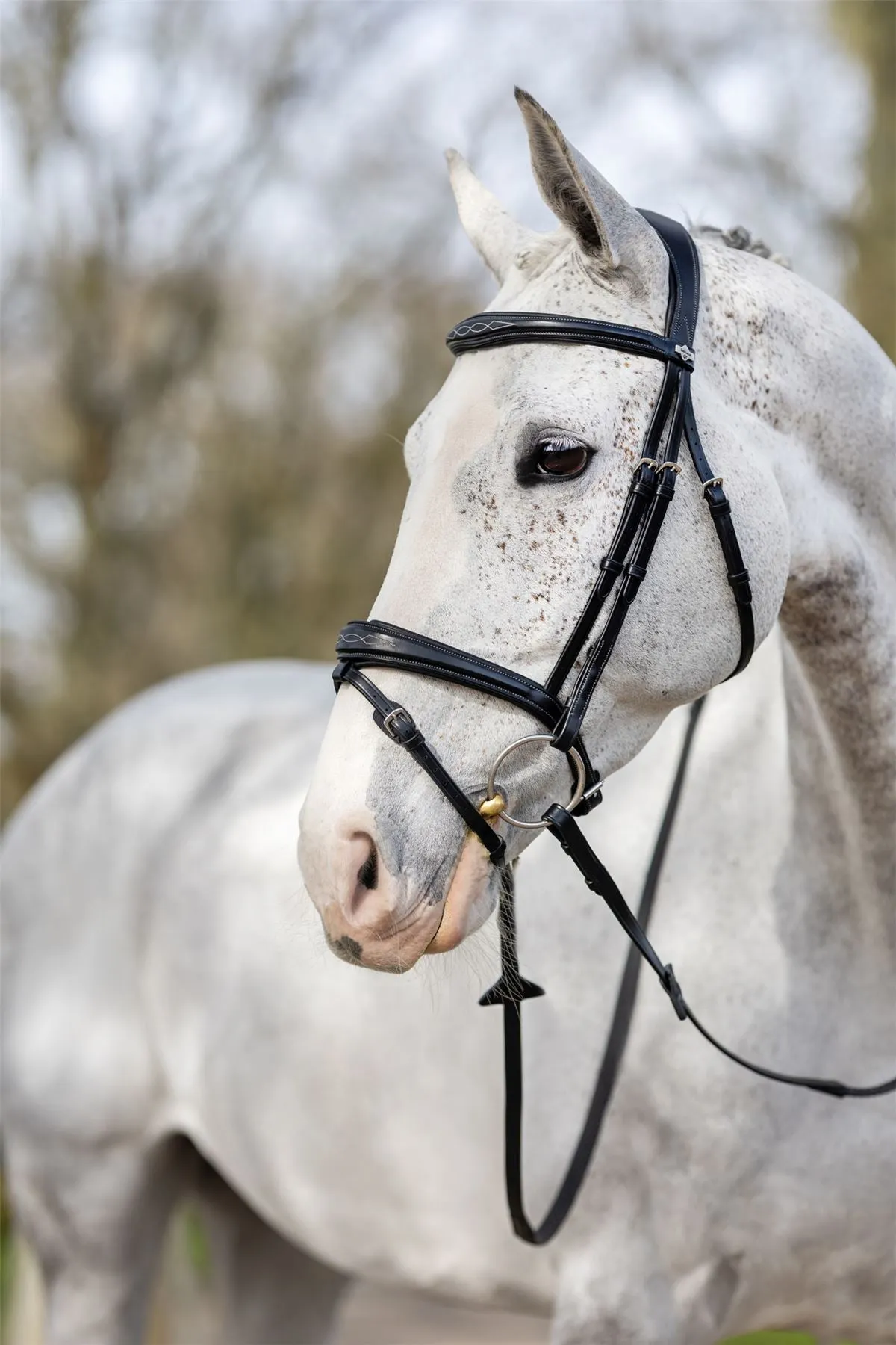 LeMieux Competition Flash Bridle