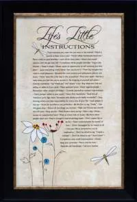 Life's Little Instructions: Framed with Glass