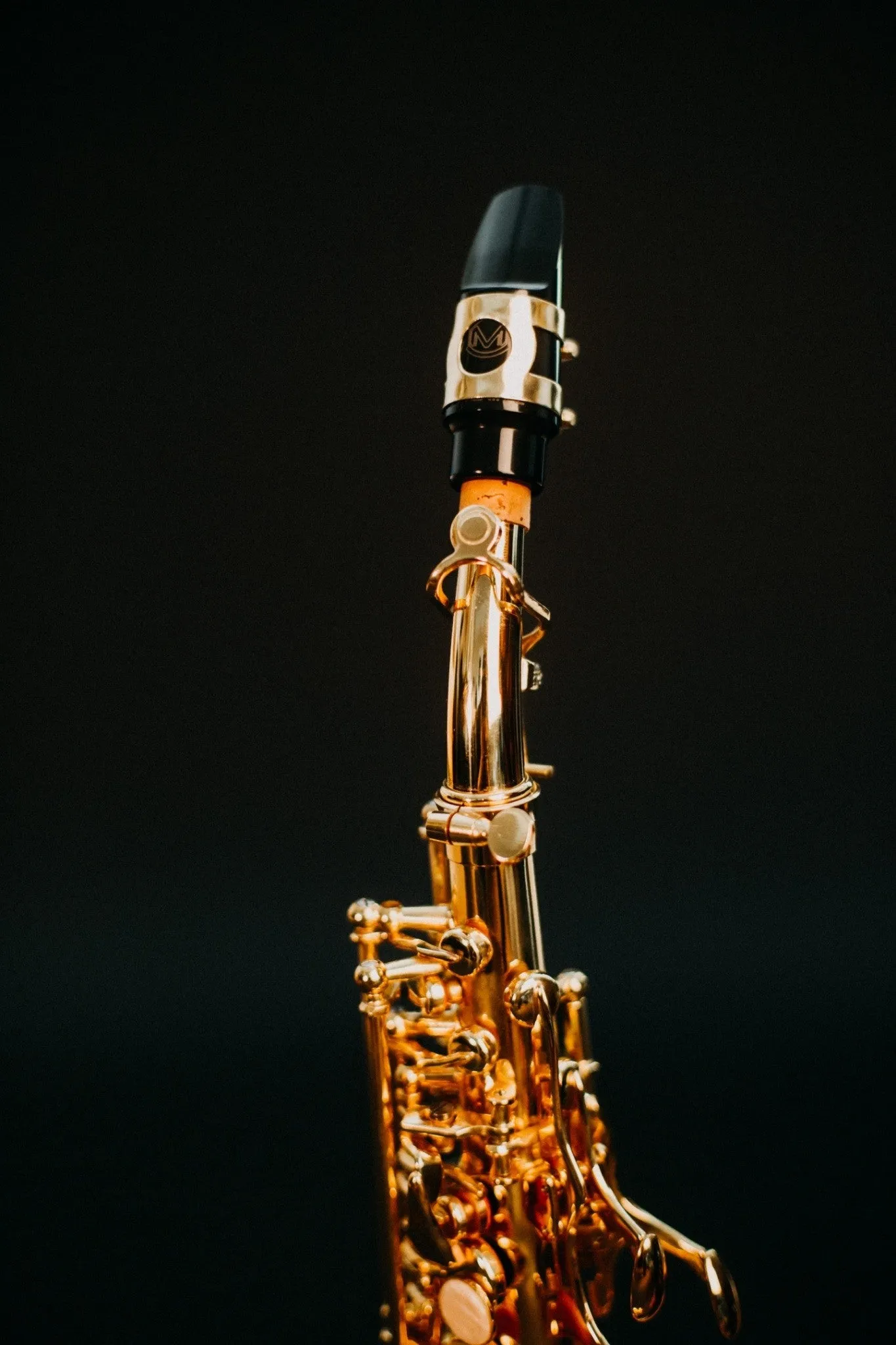 Marienthal Curved Soprano Saxophone MCS-91 GL