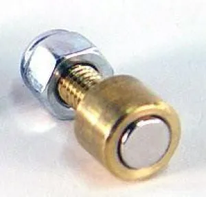 Mychron Bolt Style Wheel Speed Magnet