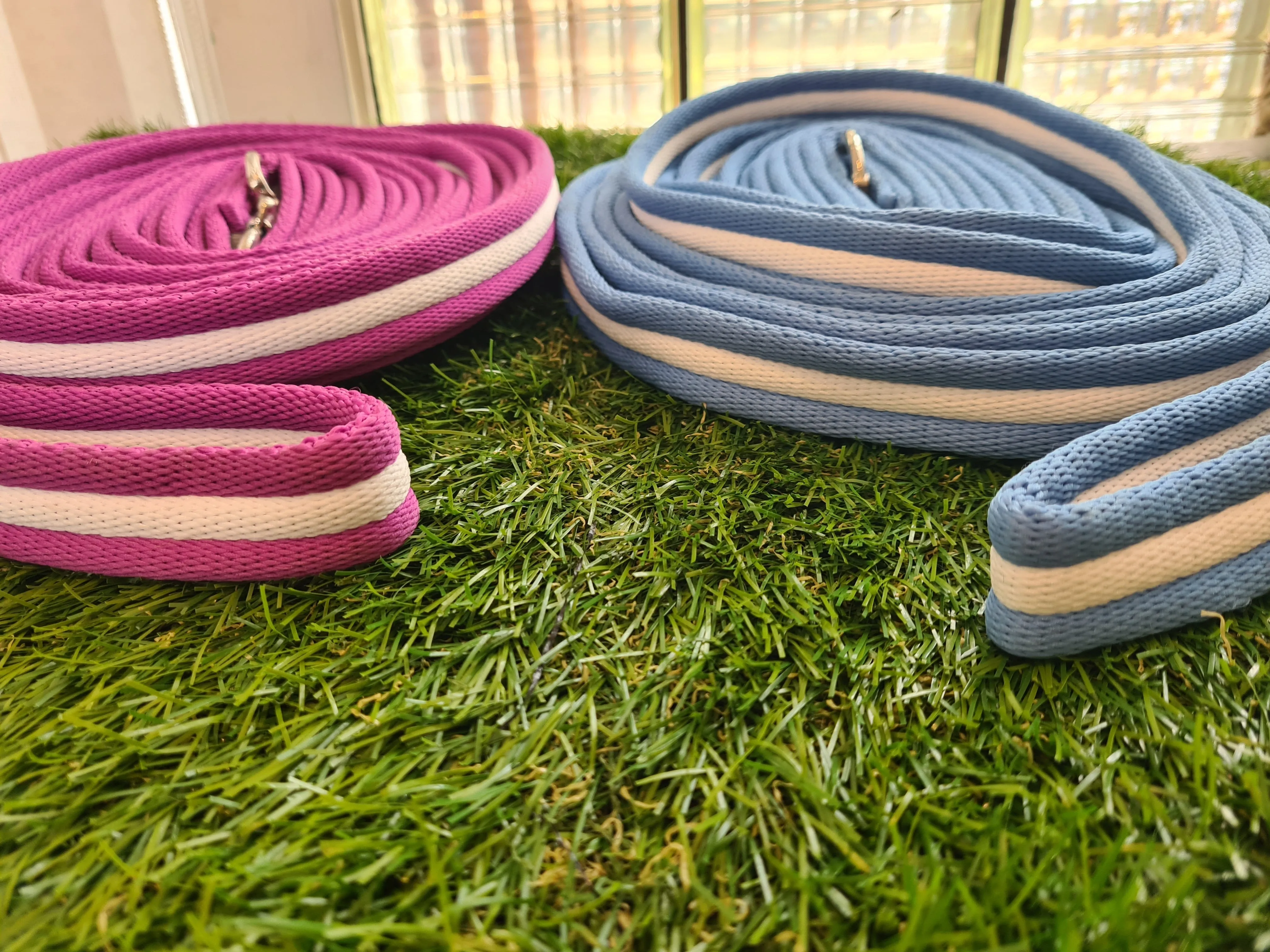 New  Padded lunge line 🟣