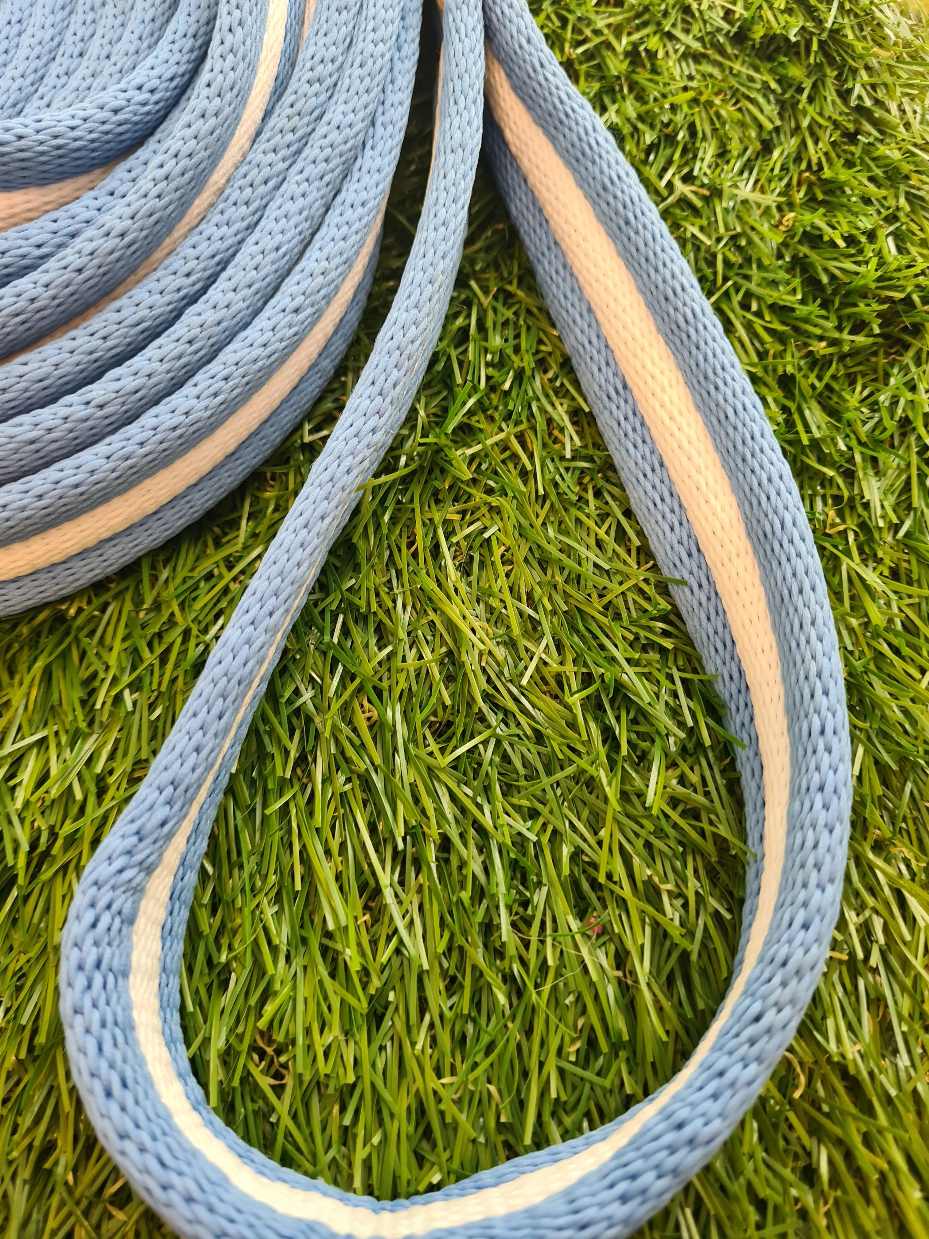 New  Padded lunge line 🟣