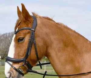 New Windsor leather anatomical  flash bridle
