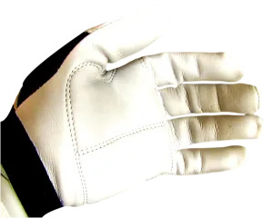 Owen Gloves Padded
