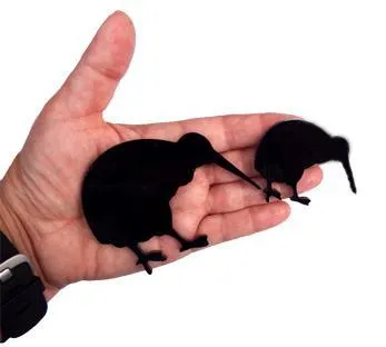 Pack of 2 Mini Kiwi Bird Wall Art