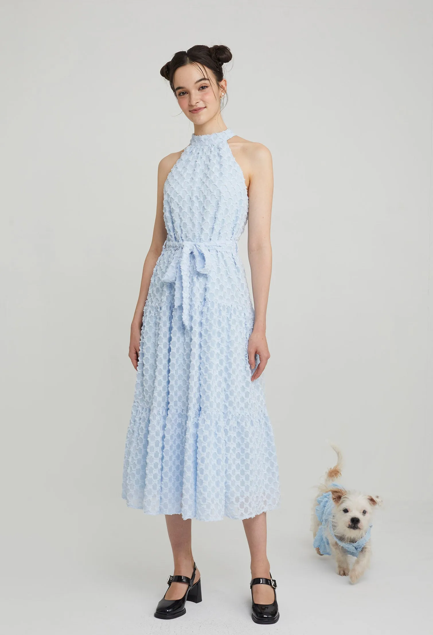 Quinn Poppy Pet Dress