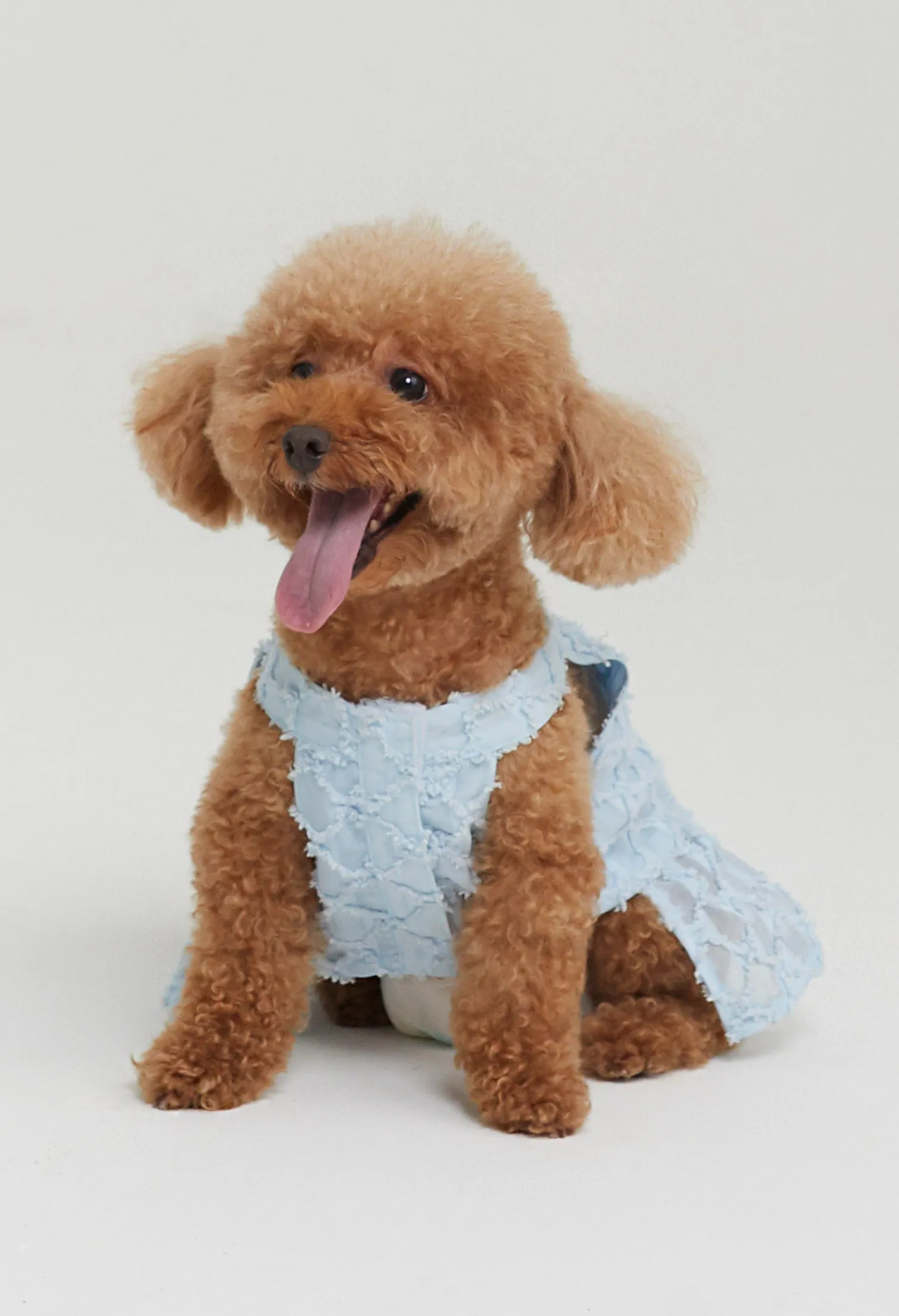 Quinn Poppy Pet Dress