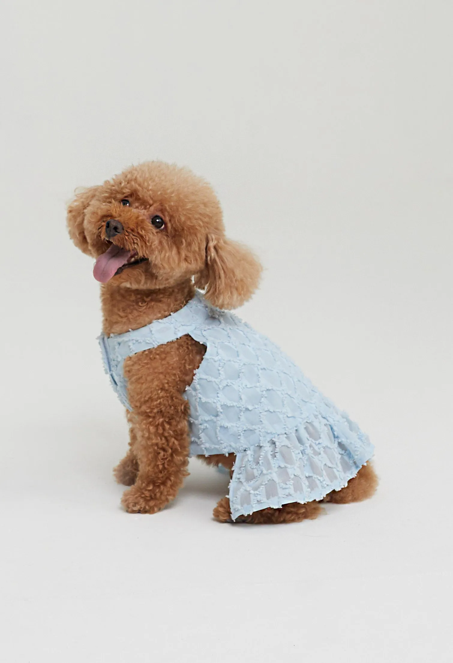 Quinn Poppy Pet Dress