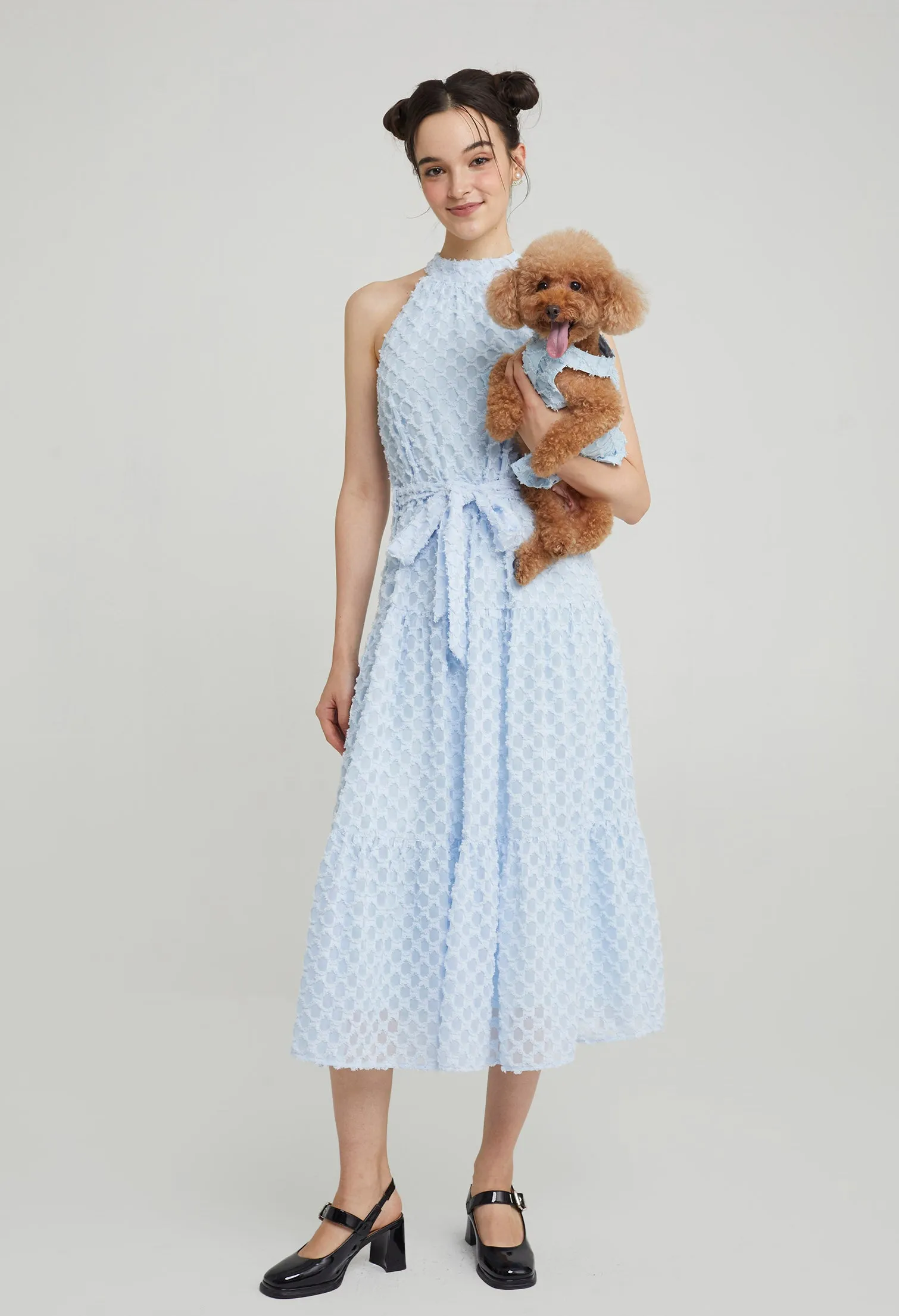 Quinn Poppy Pet Dress
