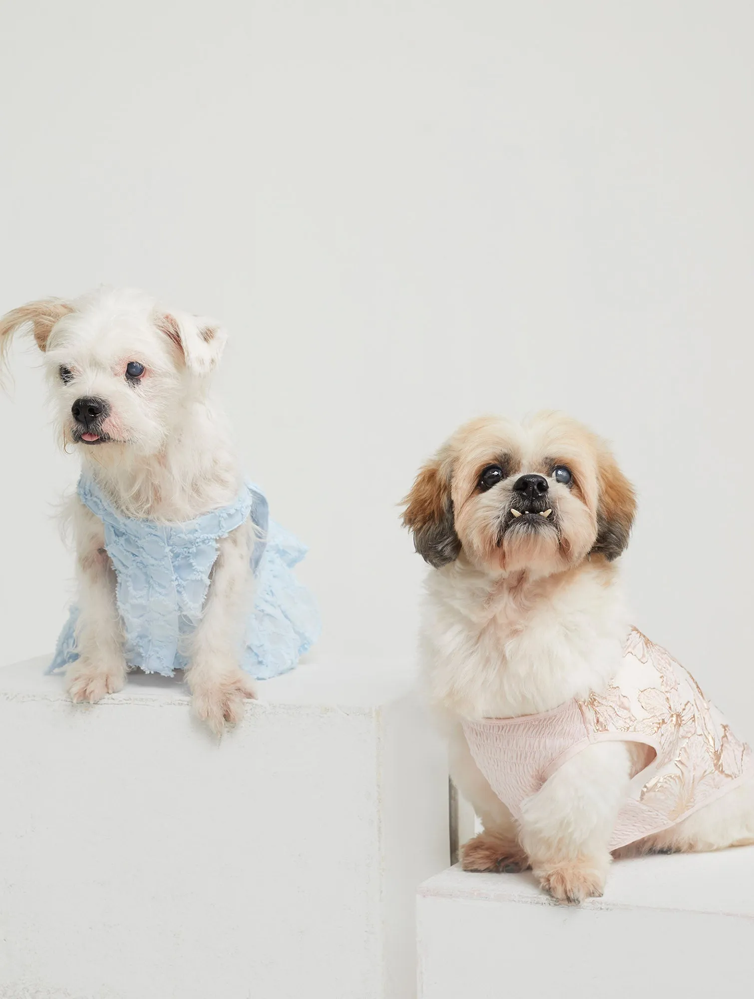 Quinn Poppy Pet Dress