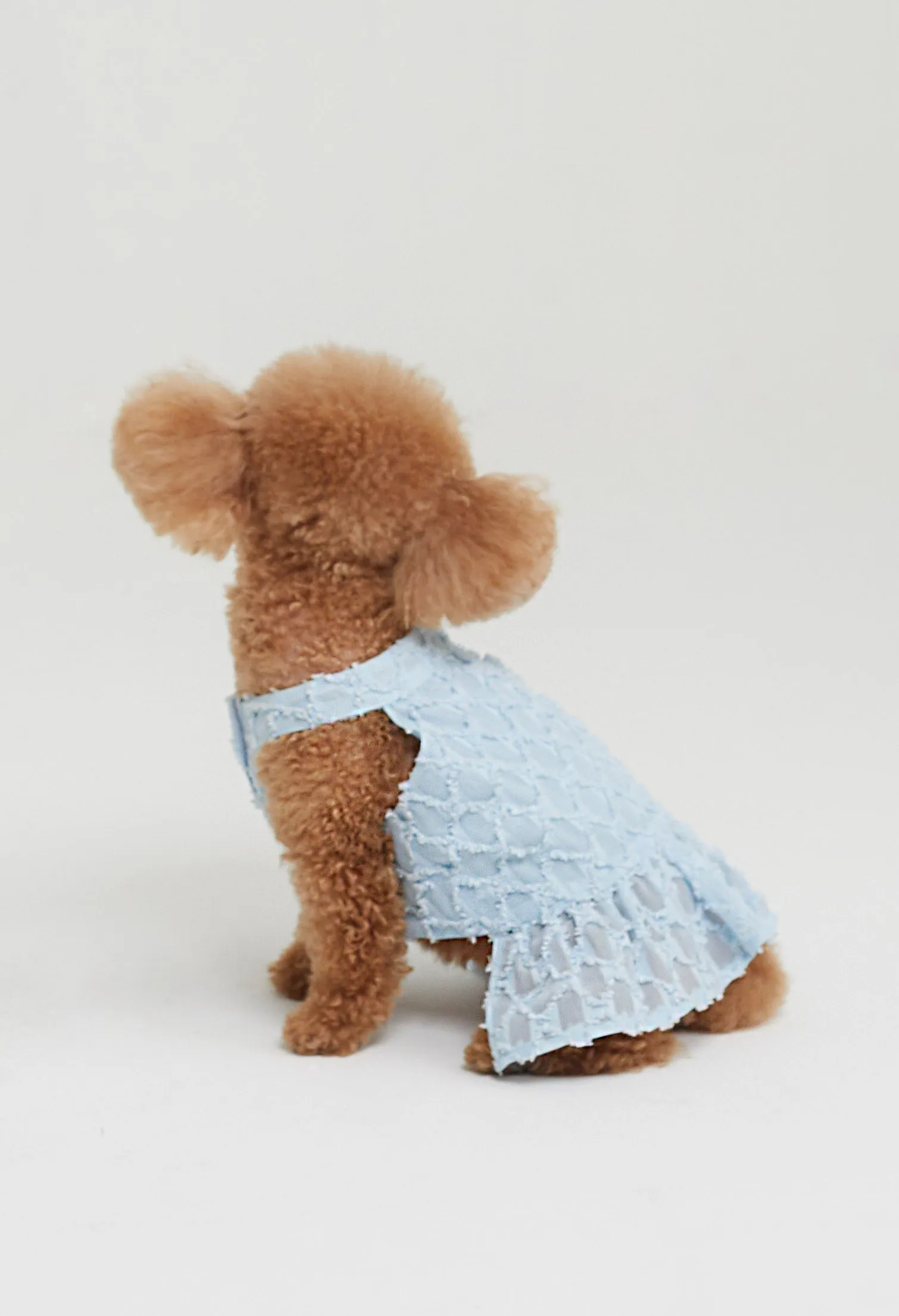 Quinn Poppy Pet Dress