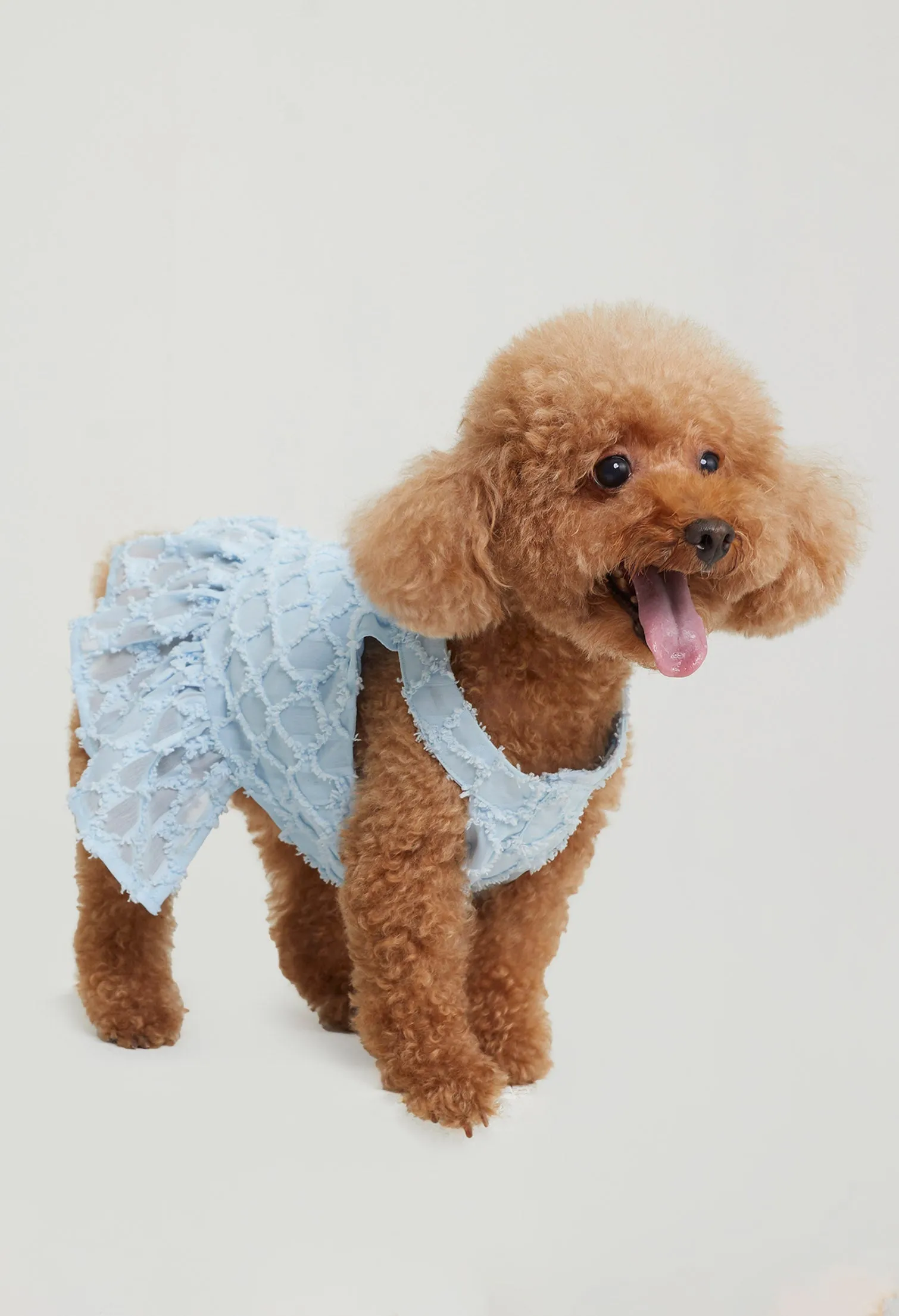 Quinn Poppy Pet Dress