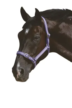 Roma Headcollar & Leadrope Set