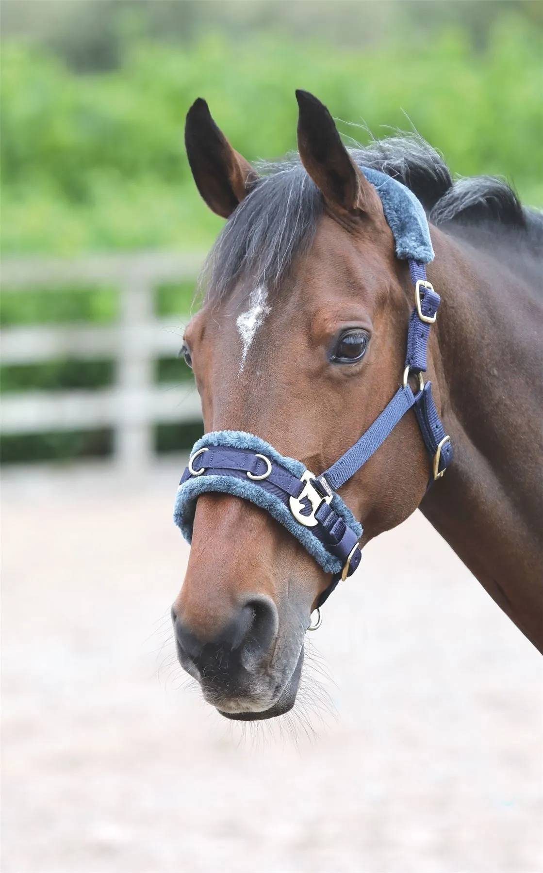 Shires Fleece Lined Lunge Cavesson
