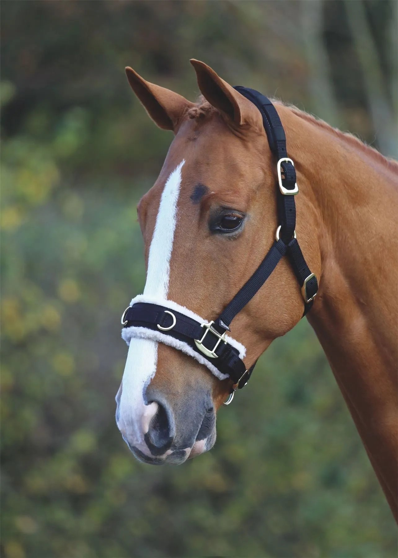 Shires Fleece Lined Lunge Cavesson