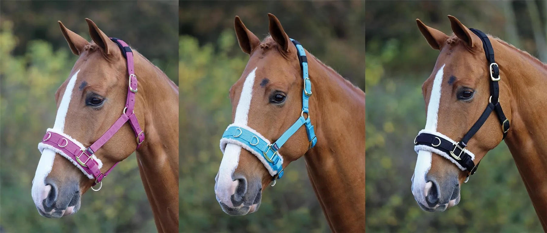 Shires Fleece Lined Lunge Cavesson