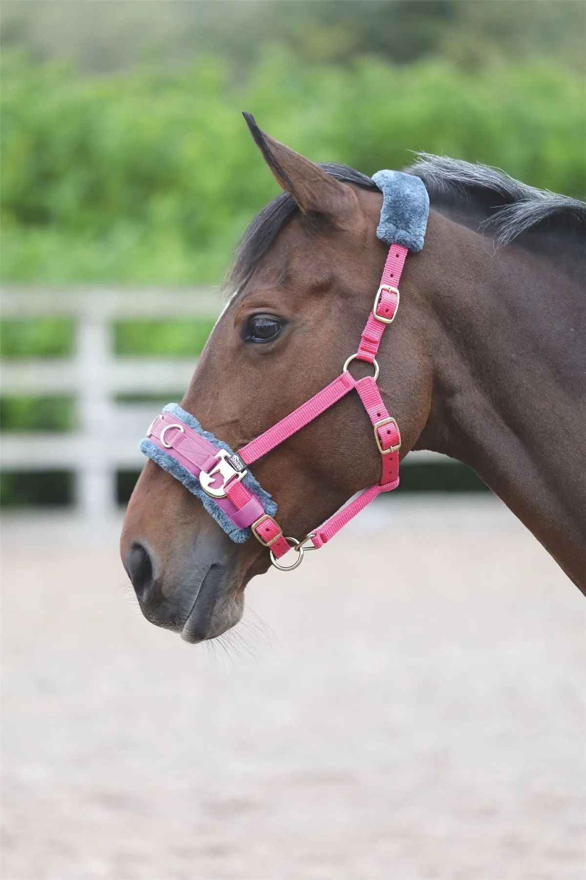 Shires Fleece Lined Lunge Cavesson