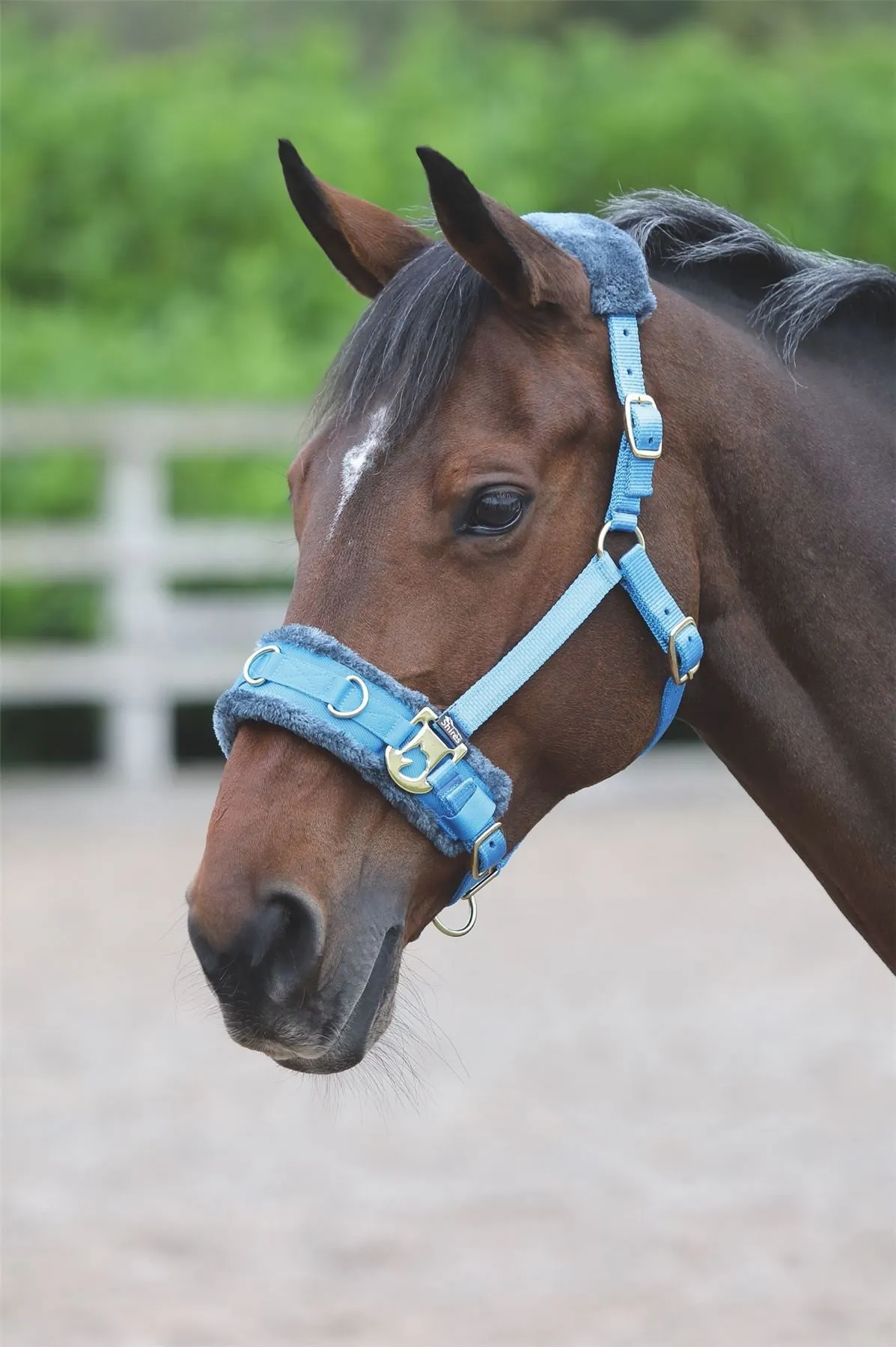 Shires Fleece Lined Lunge Cavesson