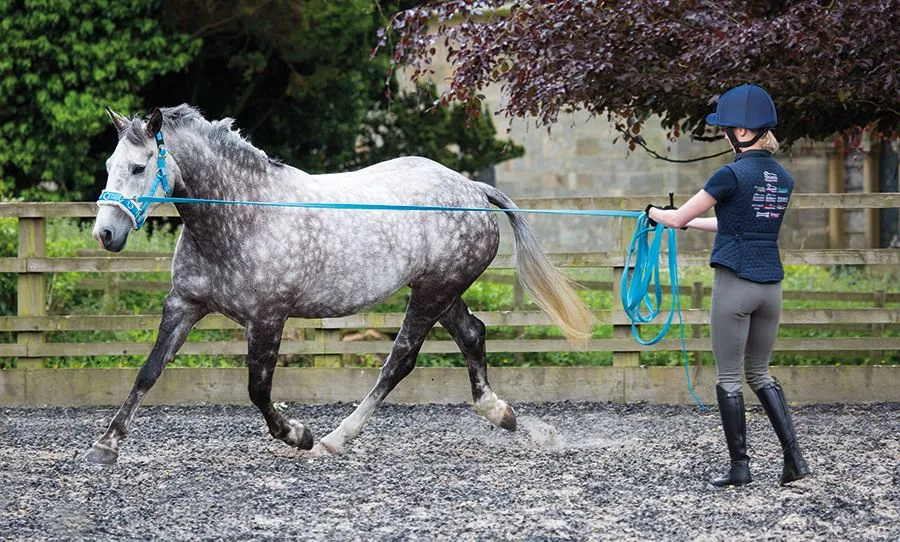 Shires Fleece Lined Lunge Cavesson