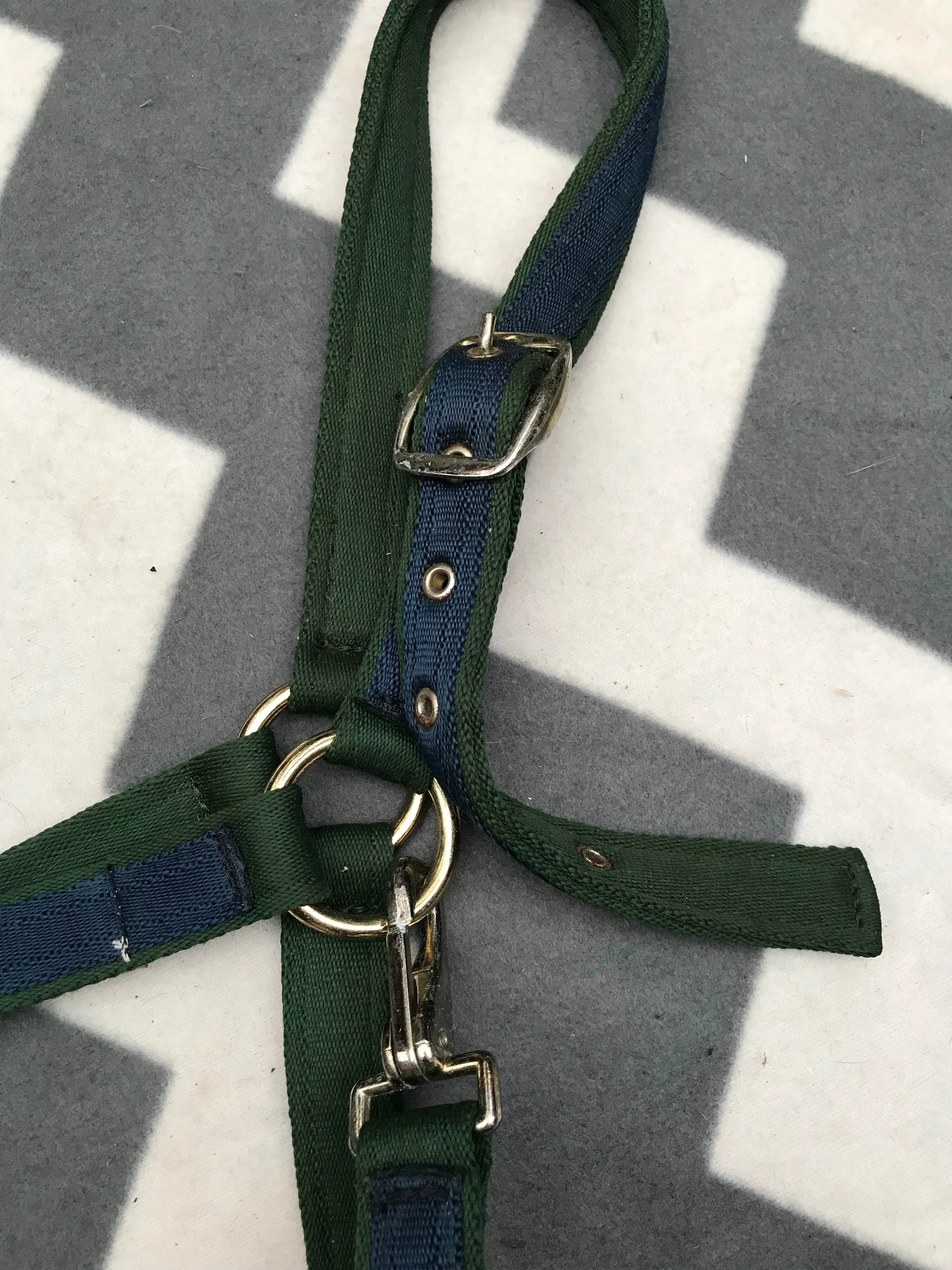 Shires full size green and navy head collar FREE POSTAGE
