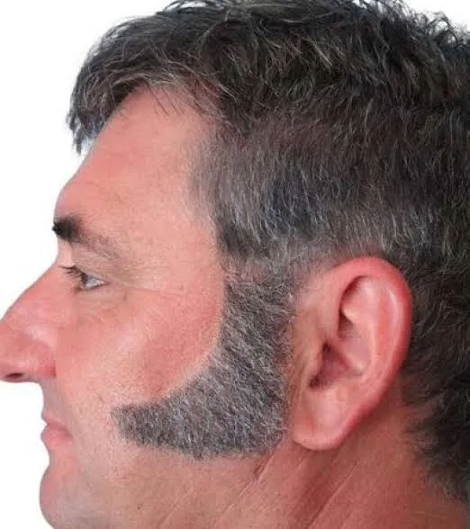 Side Burns 1970s Style- Curved