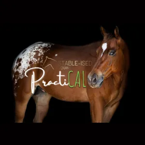 Stable-Ised Equine PractiCAL (NO AFTERPAY)