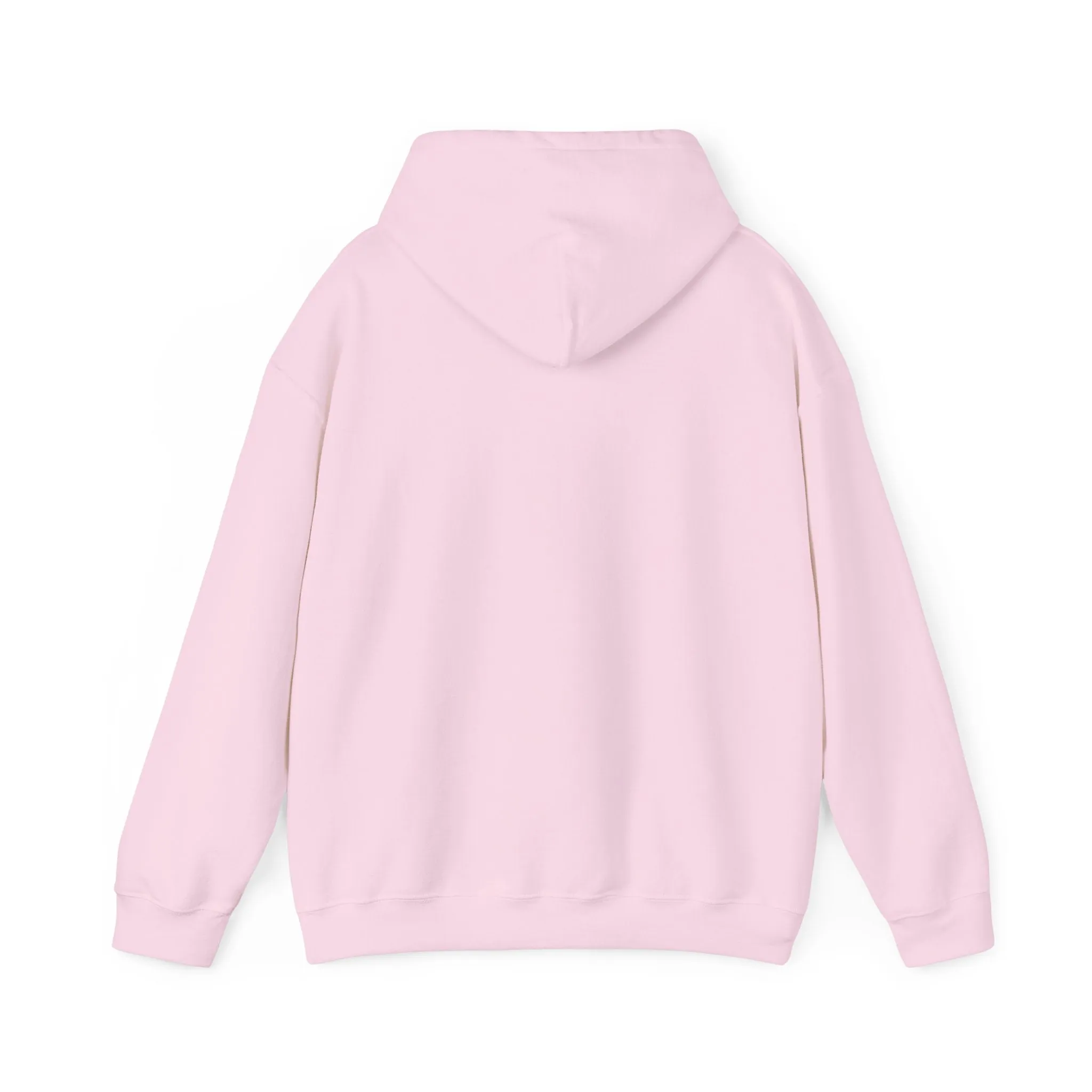 Stitched Teddy Bear Hoodie
