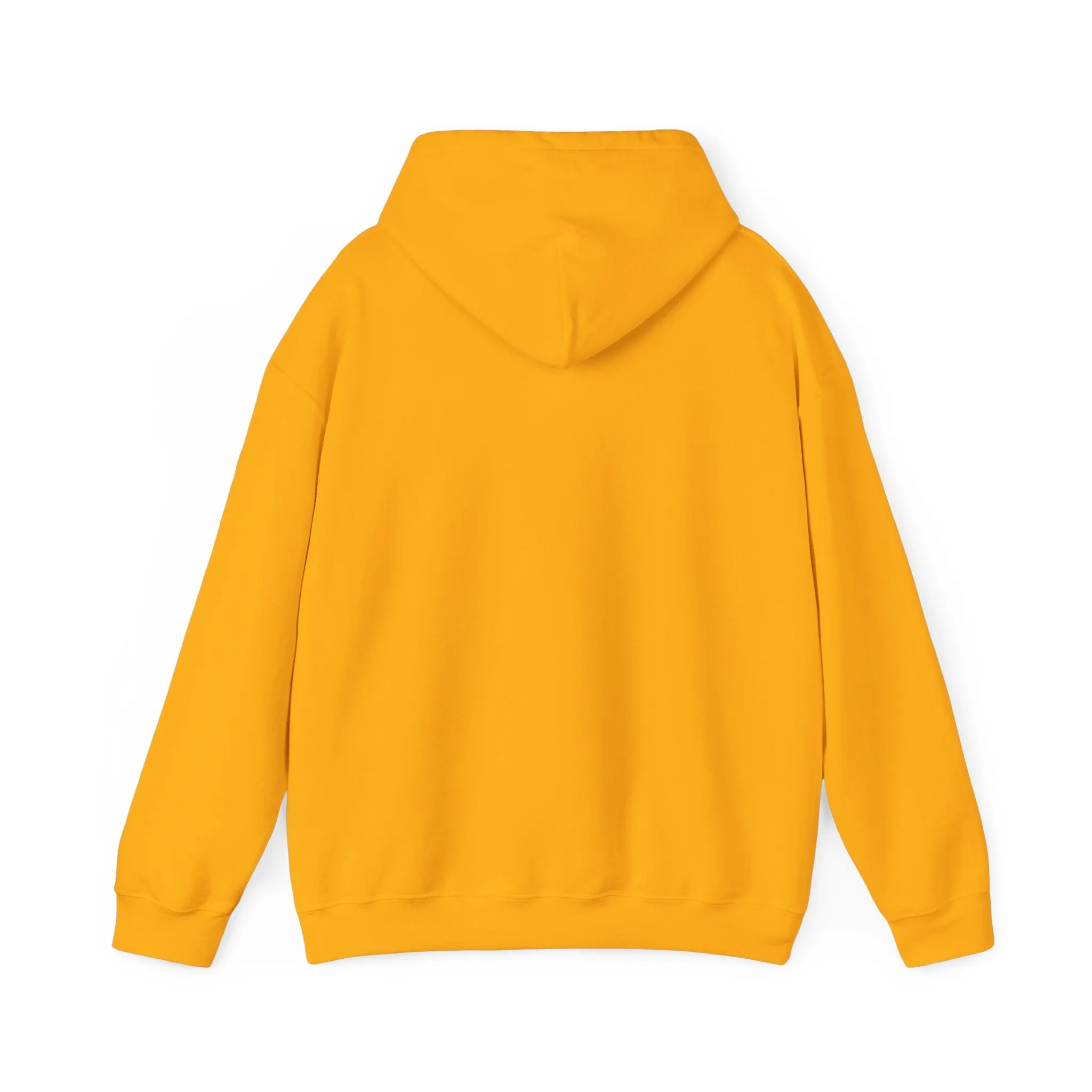Stitched Teddy Bear Hoodie