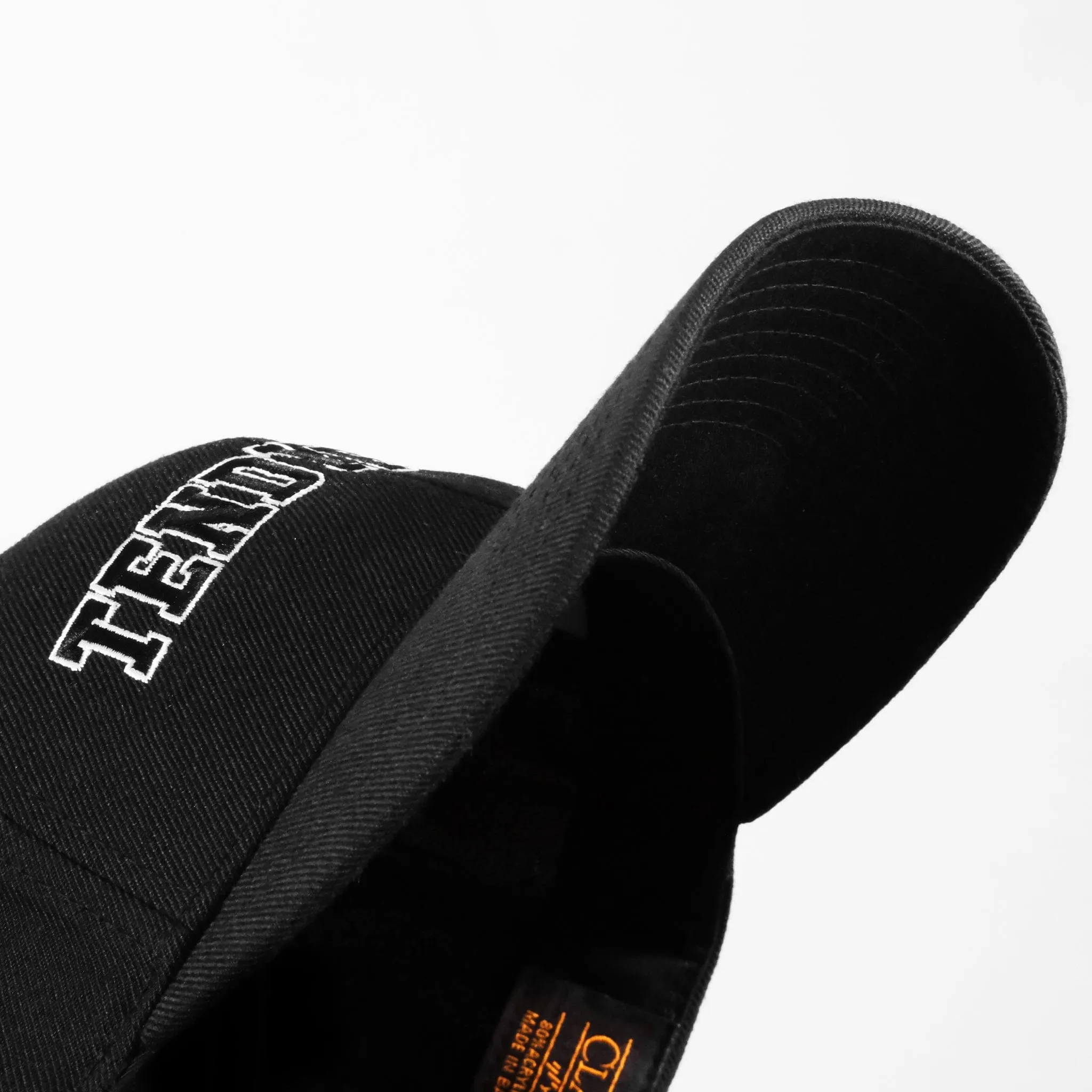 TendyFest Hat - Curved Brim Snapback