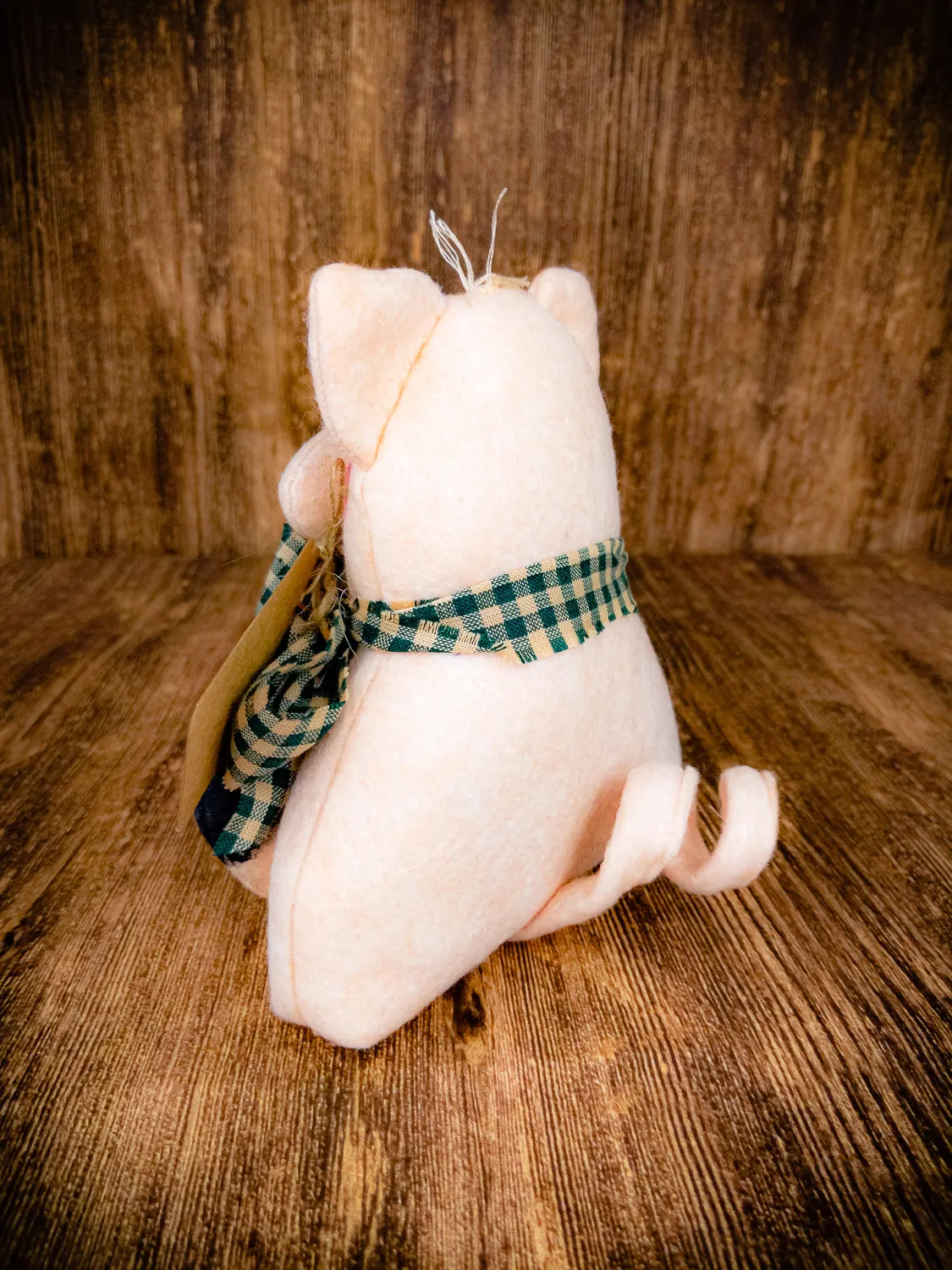 Truffle the Primitive Pig