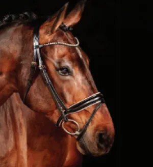 Waldhausen Rose X-Line Bridle Black