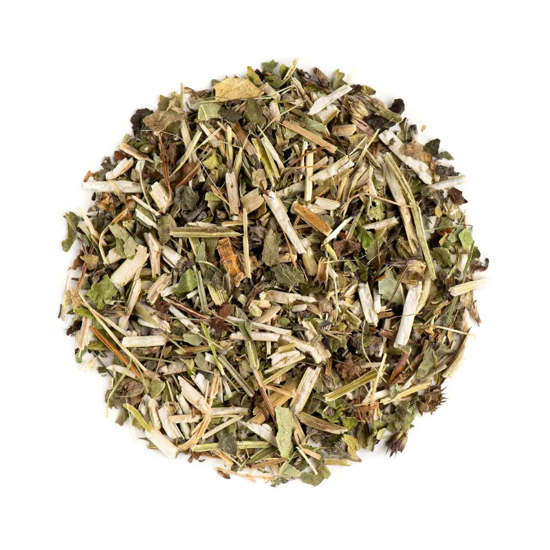 Woodbetony Dried - Herbal Collection